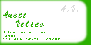 anett velics business card